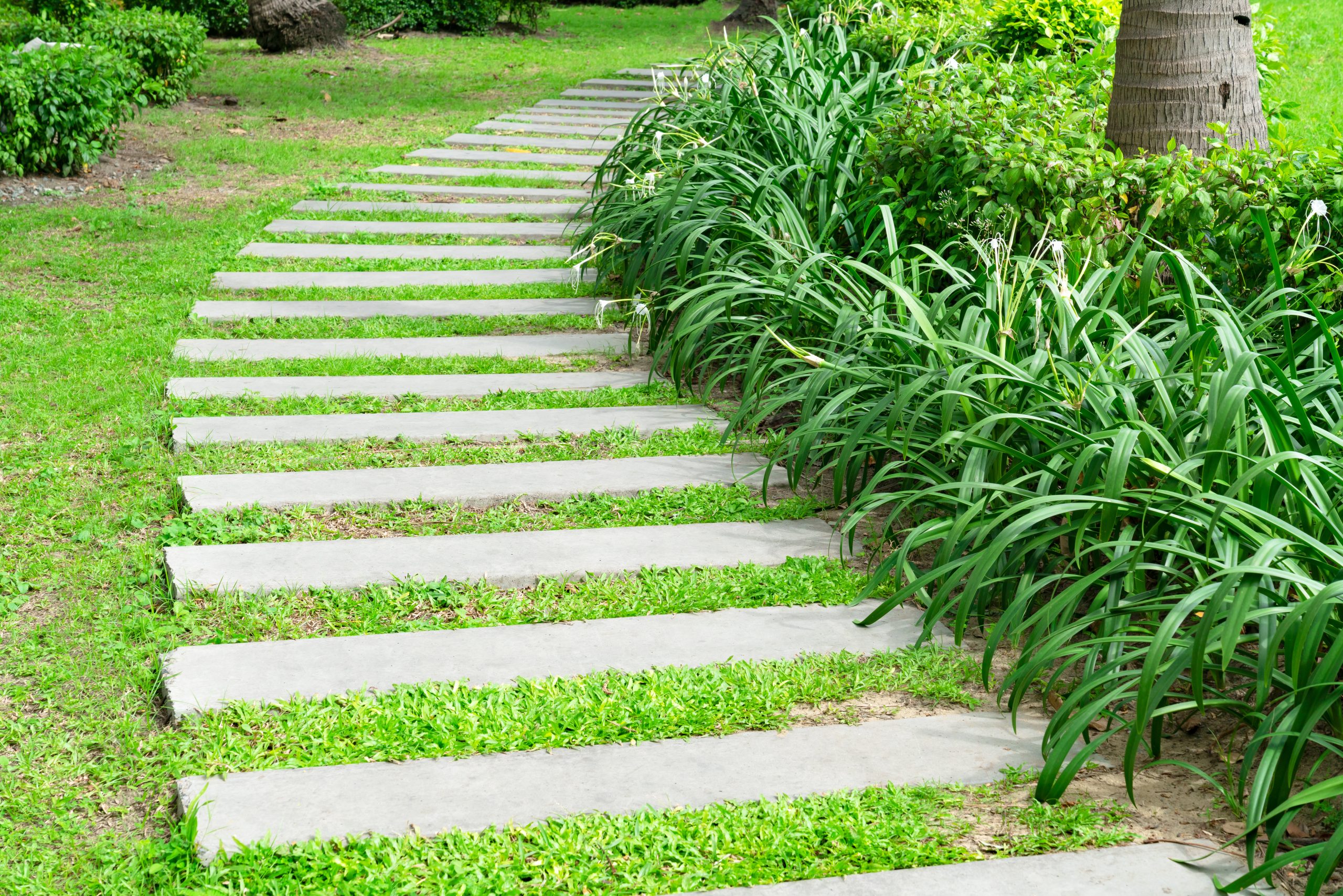 outdoor steps in Central Massachusetts